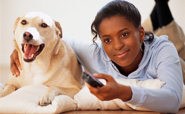 5 ways to take care of your pets